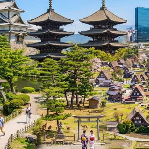 JAPON 11 DIAS / BANZAI CON FIN EN TOKIO