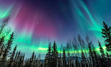 Maravillas de Alaska con auroras boreales