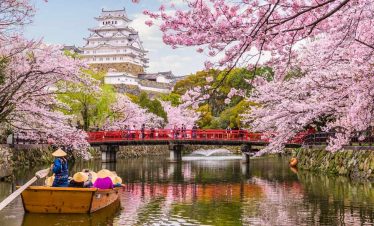 JAPON 15 DIAS / CEREZOS