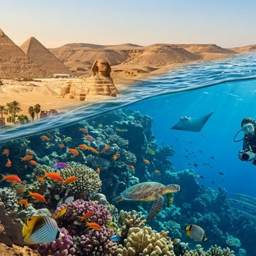 EGIPTO 11 DIAS / MAR ROJO MARSA ALAM O SHARM EL SHEIKH Y CRUCERO POR EL NILO A