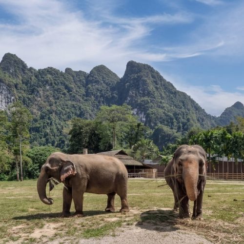 5 DIAS / ALREDEDOR DE TAILANDIA A