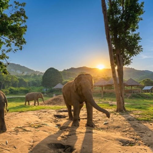 6 DIAS / ALREDEDOR DE TAILANDIA B